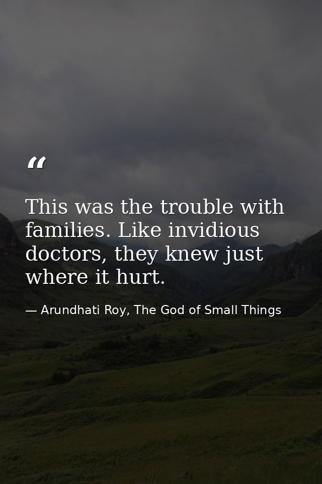 This was the trouble with families. Like invidious doctors, they knew just where it hurt. — Arundhati Roy, The God of Small Things