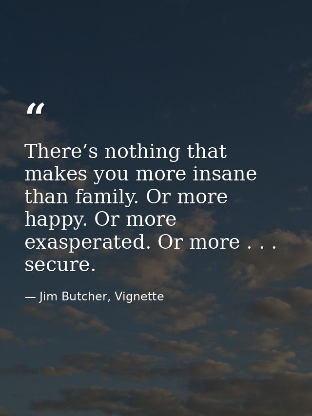 There’s nothing that makes you more insane than family. Or more happy. Or more exasperated. Or more . . . secure. — Jim Butcher, Vignette