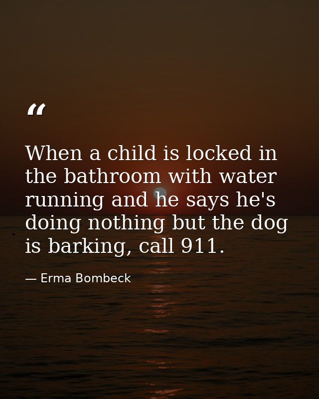 When a child is locked in the bathroom with water running and he says he's doing nothing but the dog is barking, call 91 — Erma Bombeck
