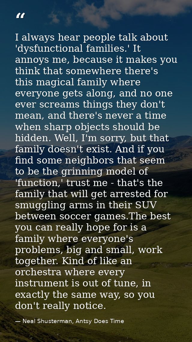 I always hear people talk about 'dysfunctional families.' It annoys me, because it makes you think that somewhere there' — Neal Shusterman, Antsy Does Time