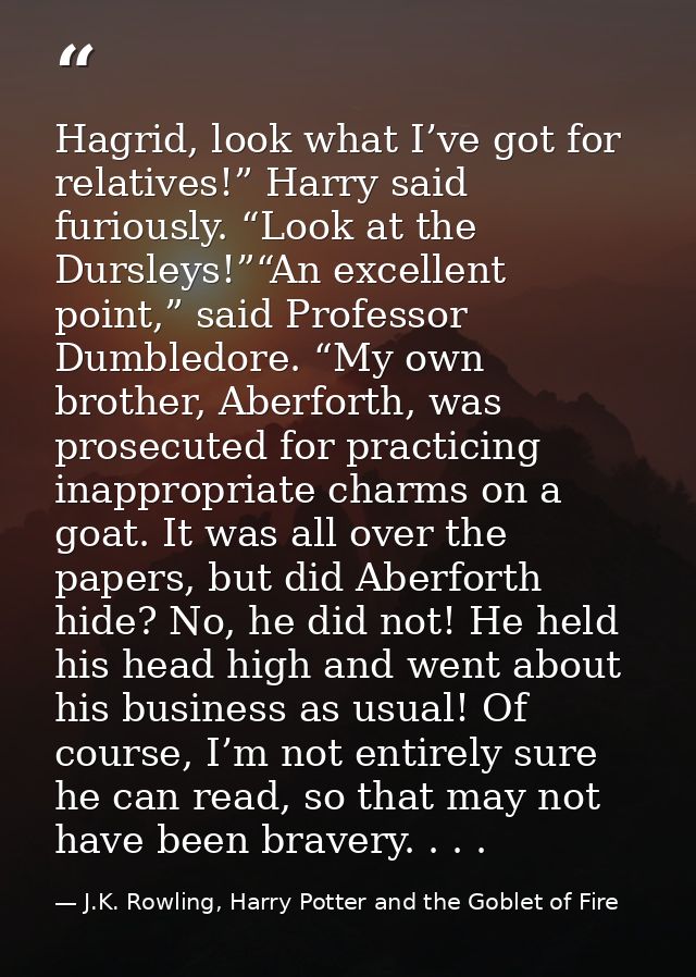 Hagrid, look what I’ve got for relatives!” Harry said furiously. “Look at the Dursleys!”“An excellent point,” said Profe — J.K. Rowling, Harry Potter and the Goblet of Fire