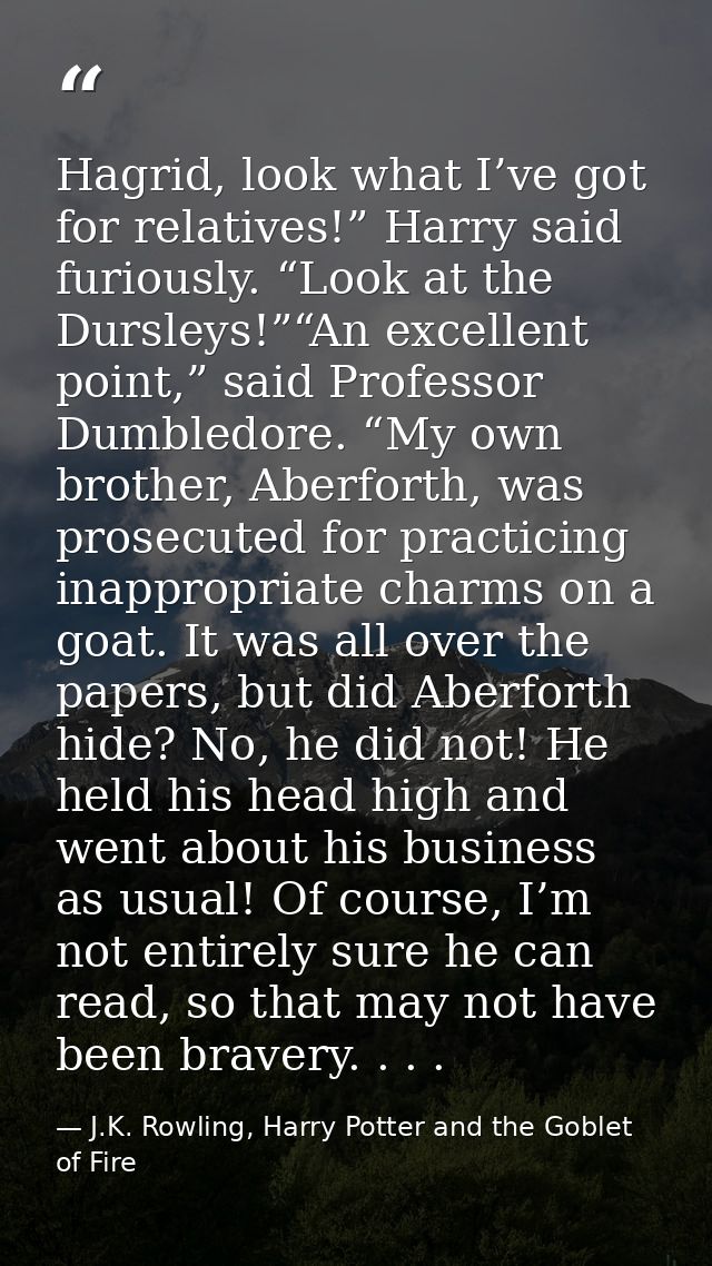 Hagrid, look what I’ve got for relatives!” Harry said furiously. “Look at the Dursleys!”“An excellent point,” said Profe — J.K. Rowling, Harry Potter and the Goblet of Fire