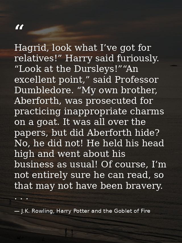 Hagrid, look what I’ve got for relatives!” Harry said furiously. “Look at the Dursleys!”“An excellent point,” said Profe — J.K. Rowling, Harry Potter and the Goblet of Fire