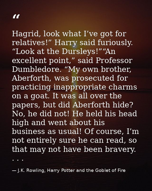 Hagrid, look what I’ve got for relatives!” Harry said furiously. “Look at the Dursleys!”“An excellent point,” said Profe — J.K. Rowling, Harry Potter and the Goblet of Fire