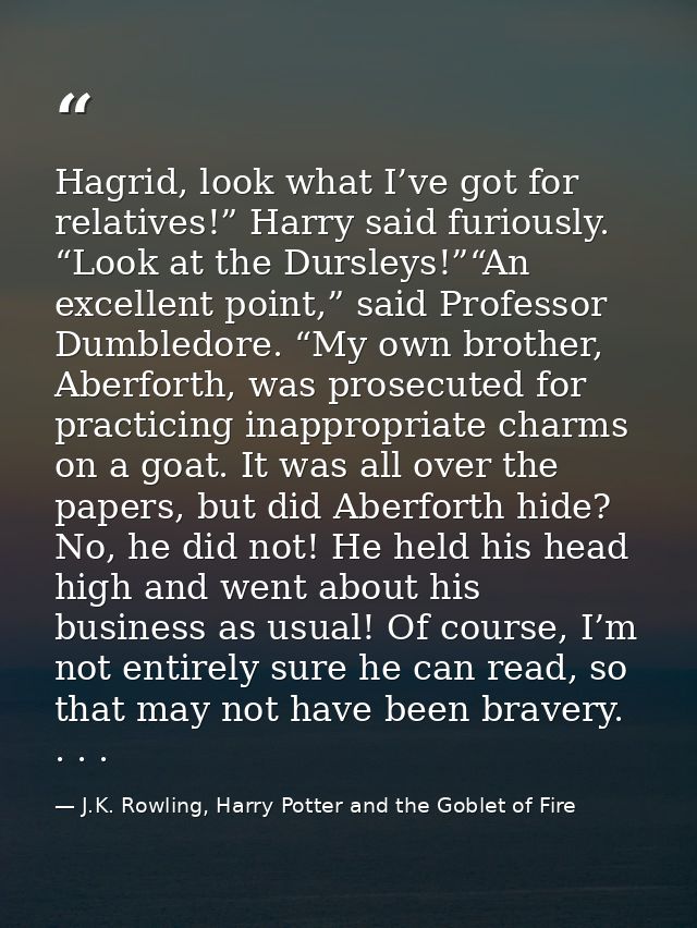 Hagrid, look what I’ve got for relatives!” Harry said furiously. “Look at the Dursleys!”“An excellent point,” said Profe — J.K. Rowling, Harry Potter and the Goblet of Fire