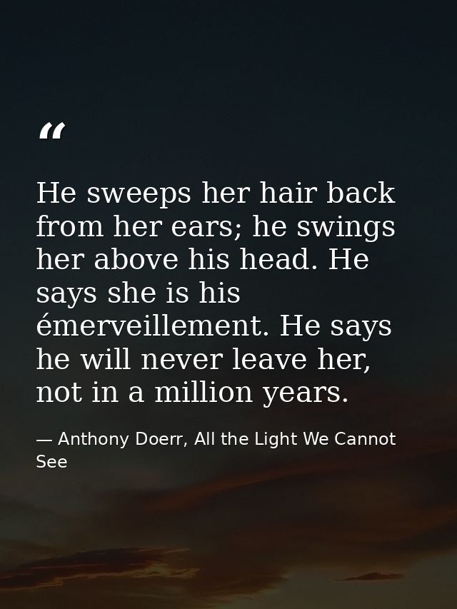 He sweeps her hair back from her ears; he swings her above his head. He says she is his émerveillement. He says he will  — Anthony Doerr, All the Light We Cannot See