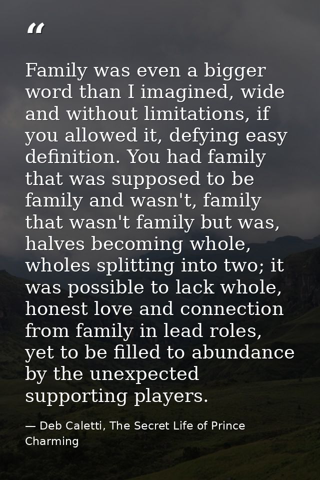 Family was even a bigger word than I imagined, wide and without limitations, if you allowed it, defying easy definition. — Deb Caletti, The Secret Life of Prince Charming
