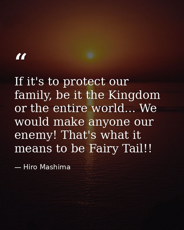 If it's to protect our family, be it the Kingdom or the entire world... We would make anyone our enemy! That's what it m — Hiro Mashima