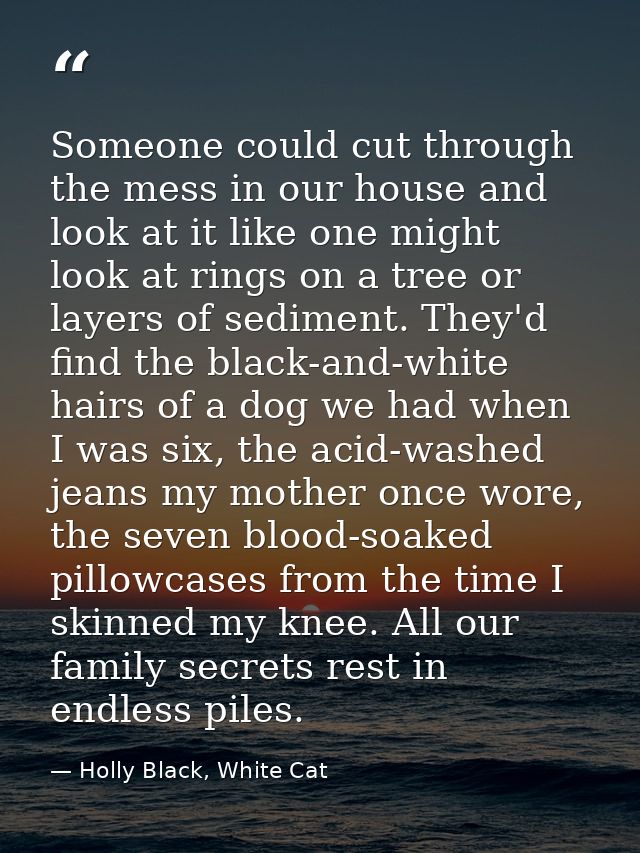Someone could cut through the mess in our house and look at it like one might look at rings on a tree or layers of sedim — Holly Black, White Cat