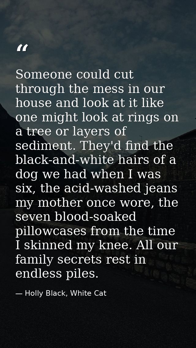 Someone could cut through the mess in our house and look at it like one might look at rings on a tree or layers of sedim — Holly Black, White Cat