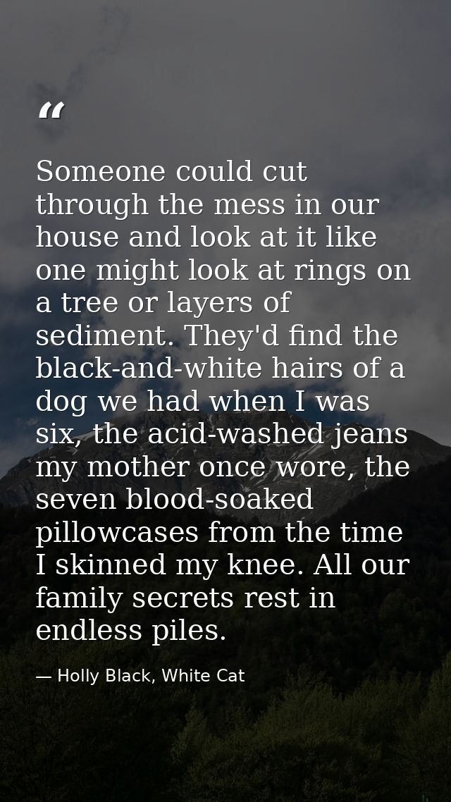 Someone could cut through the mess in our house and look at it like one might look at rings on a tree or layers of sedim — Holly Black, White Cat