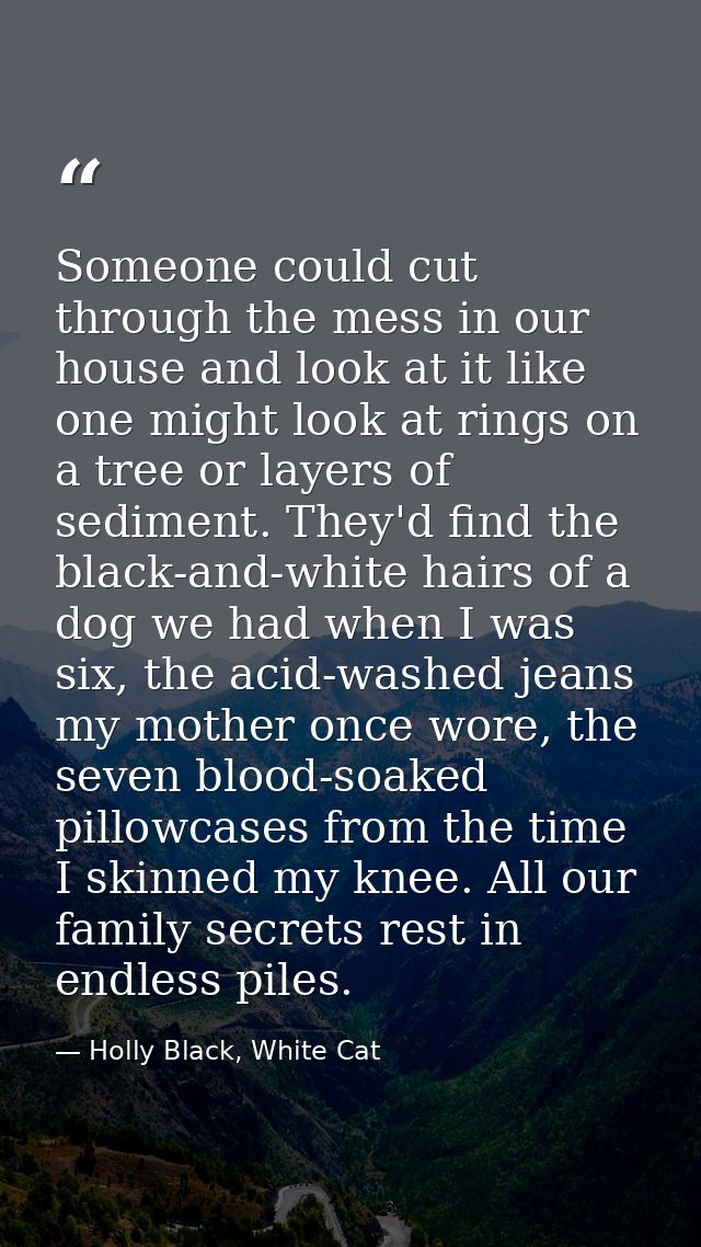 Someone could cut through the mess in our house and look at it like one might look at rings on a tree or layers of sedim — Holly Black, White Cat