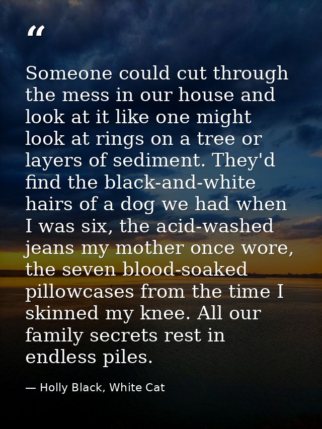 Someone could cut through the mess in our house and look at it like one might look at rings on a tree or layers of sedim — Holly Black, White Cat