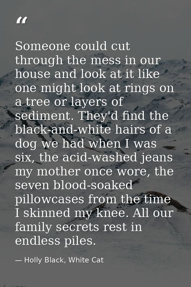 Someone could cut through the mess in our house and look at it like one might look at rings on a tree or layers of sedim — Holly Black, White Cat