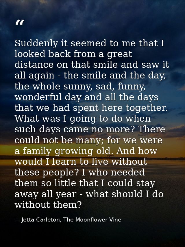 Suddenly it seemed to me that I looked back from a great distance on that smile and saw it all again - the smile and the — Jetta Carleton, The Moonflower Vine
