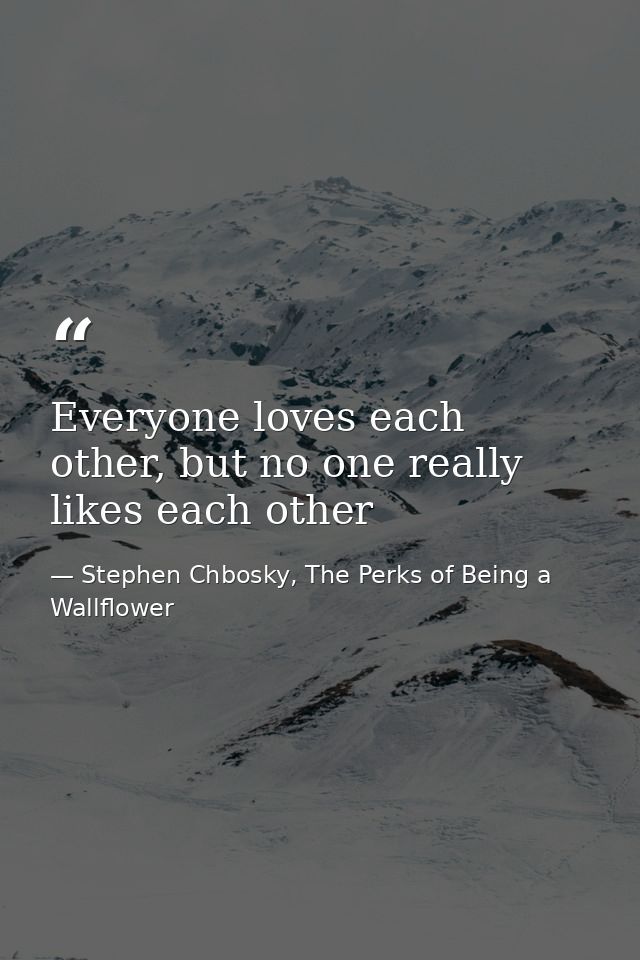 Everyone loves each other, but no one really likes each other — Stephen Chbosky, The Perks of Being a Wallflower