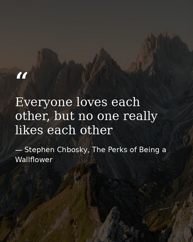 Everyone loves each other, but no one really likes each other — Stephen Chbosky, The Perks of Being a Wallflower