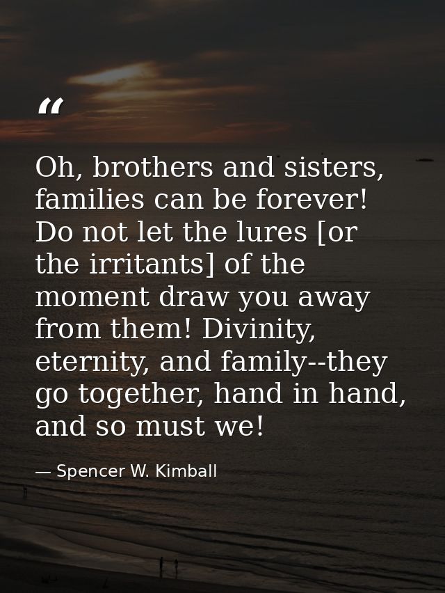 Oh, brothers and sisters, families can be forever! Do not let the lures [or the irritants] of the moment draw you away f — Spencer W. Kimball
