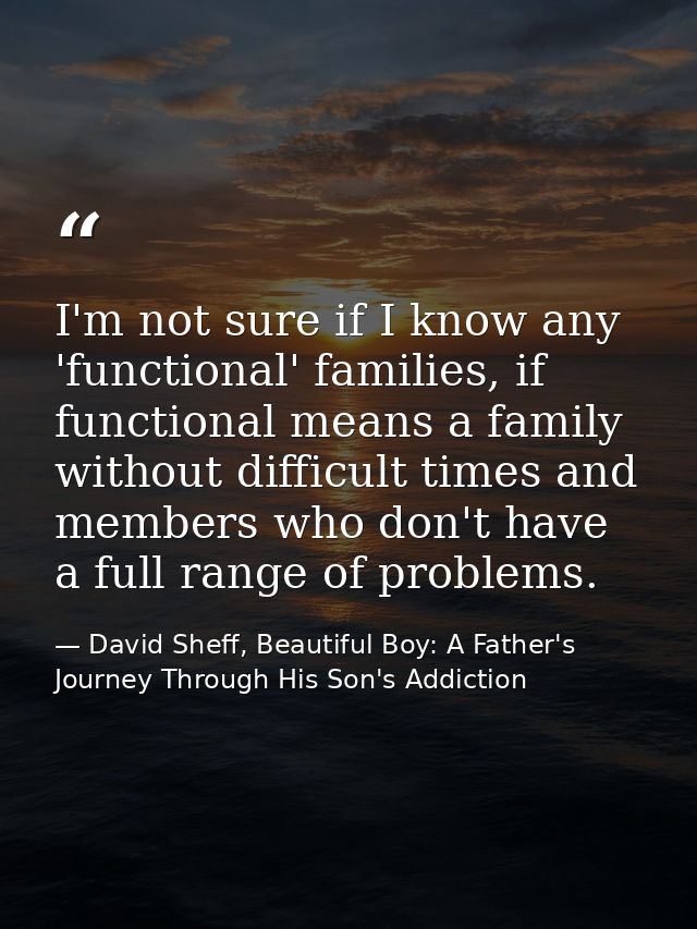 I'm not sure if I know any 'functional' families, if functional means a family without difficult times and members who d — David Sheff, Beautiful Boy: A Father's Journey Through His Son's Addiction