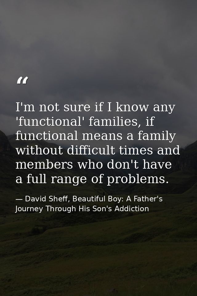 I'm not sure if I know any 'functional' families, if functional means a family without difficult times and members who d — David Sheff, Beautiful Boy: A Father's Journey Through His Son's Addiction