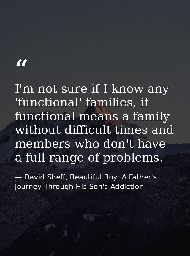 I'm not sure if I know any 'functional' families, if functional means a family without difficult times and members who d — David Sheff, Beautiful Boy: A Father's Journey Through His Son's Addiction