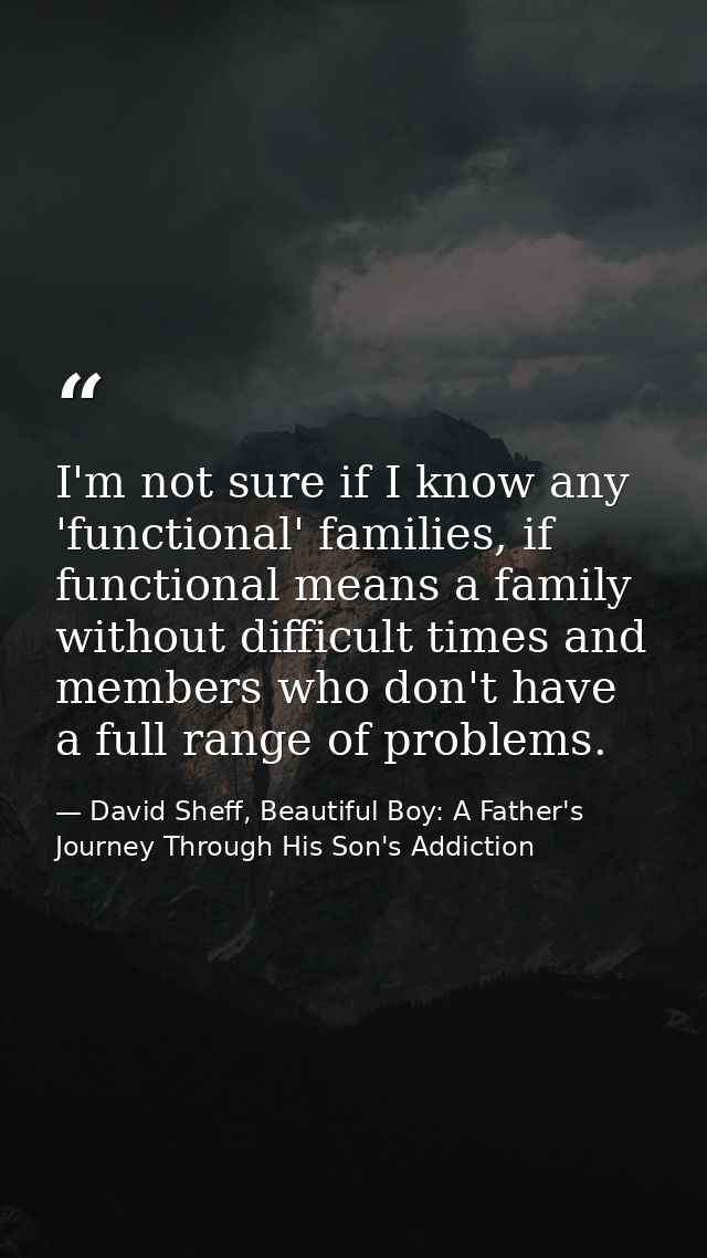 I'm not sure if I know any 'functional' families, if functional means a family without difficult times and members who d — David Sheff, Beautiful Boy: A Father's Journey Through His Son's Addiction