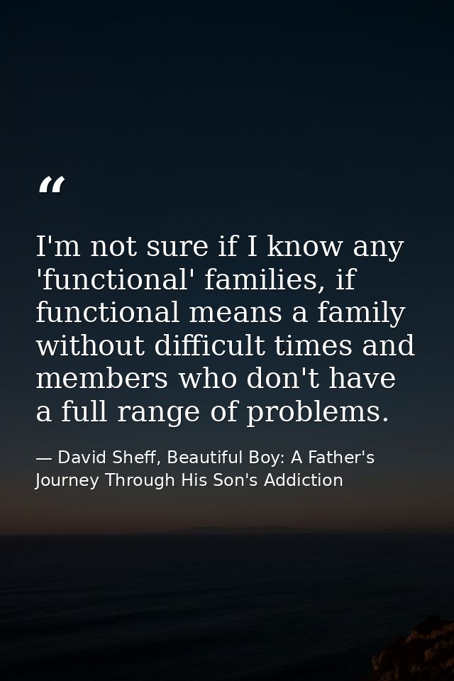 I'm not sure if I know any 'functional' families, if functional means a family without difficult times and members who d — David Sheff, Beautiful Boy: A Father's Journey Through His Son's Addiction