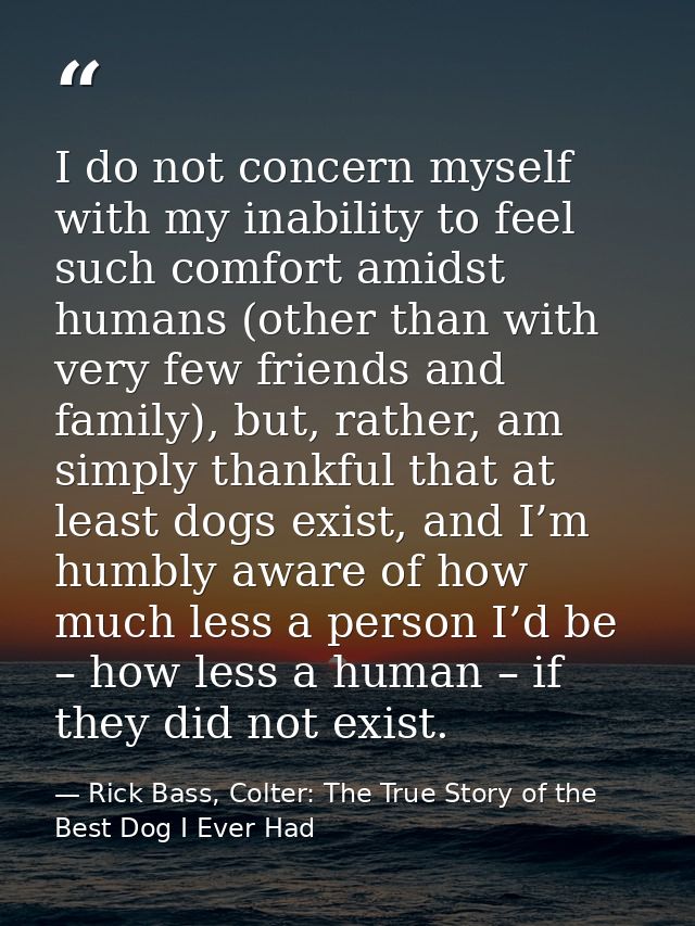I do not concern myself with my inability to feel such comfort amidst humans (other than with very few friends and famil — Rick Bass, Colter: The True Story of the Best Dog I Ever Had