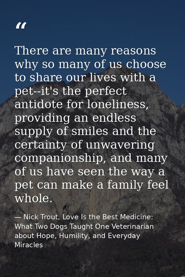 There are many reasons why so many of us choose to share our lives with a pet--it's the perfect antidote for loneliness, — Nick Trout, Love Is the Best Medicine: What Two Dogs Taught One Veterinarian about Hope, Humility, and Everyday Miracles