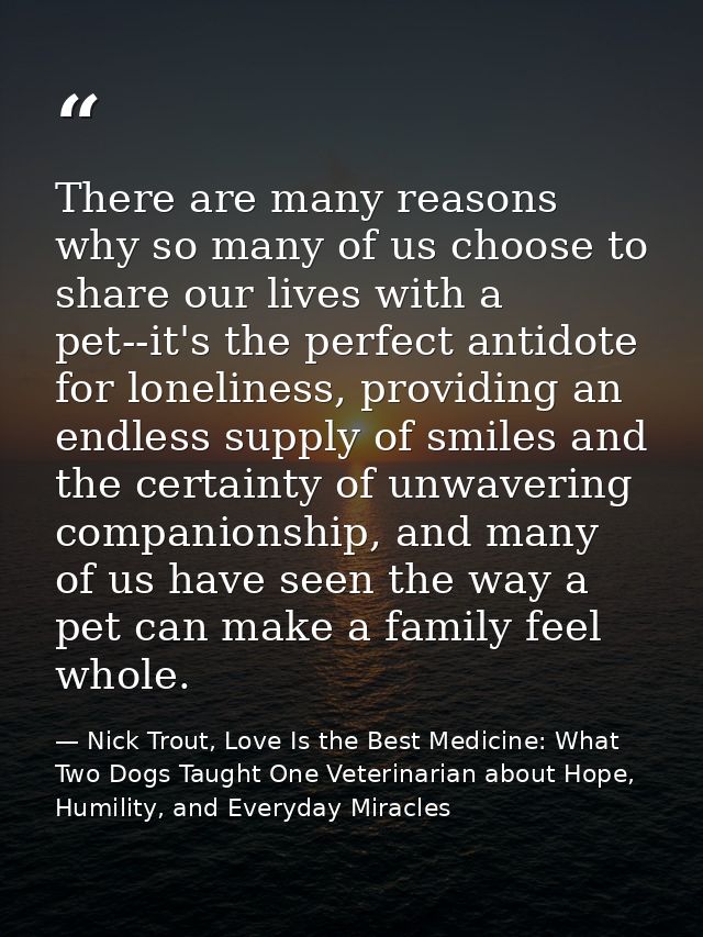 There are many reasons why so many of us choose to share our lives with a pet--it's the perfect antidote for loneliness, — Nick Trout, Love Is the Best Medicine: What Two Dogs Taught One Veterinarian about Hope, Humility, and Everyday Miracles