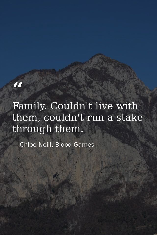 Family. Couldn't live with them, couldn't run a stake through them. — Chloe Neill, Blood Games