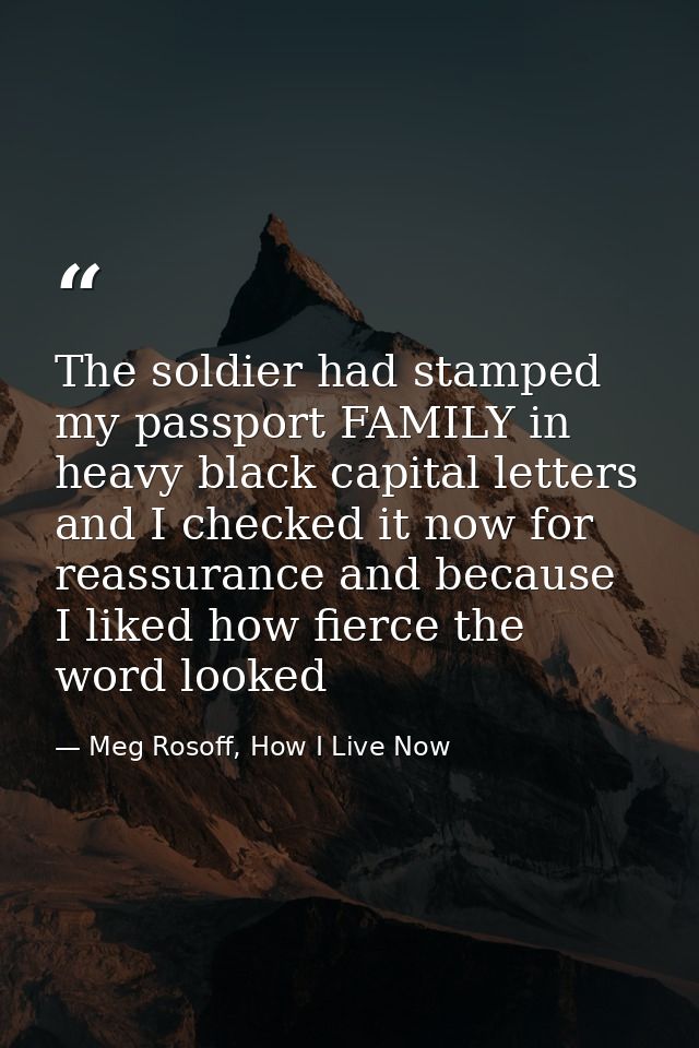 The soldier had stamped my passport FAMILY in heavy black capital letters and I checked it now for reassurance and becau — Meg Rosoff, How I Live Now