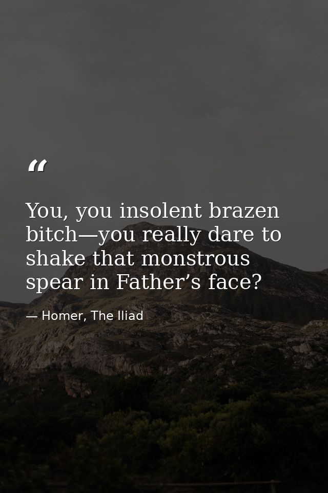 You, you insolent brazen bitch—you really dare to shake that monstrous spear in Father’s face? — Homer, The Iliad