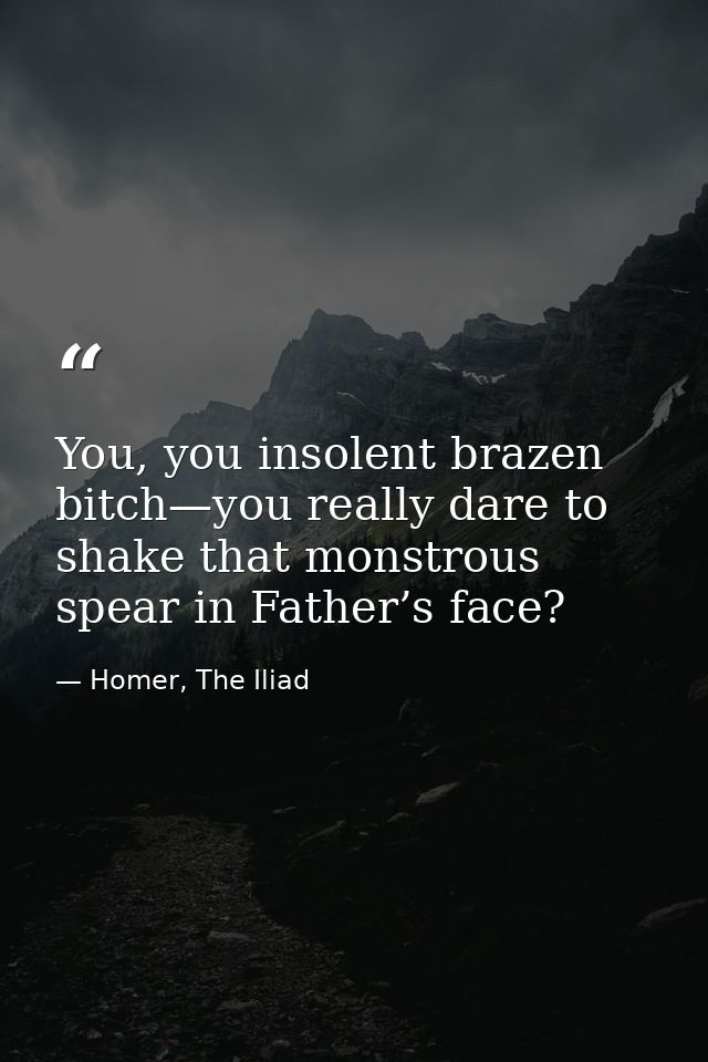 You, you insolent brazen bitch—you really dare to shake that monstrous spear in Father’s face? — Homer, The Iliad