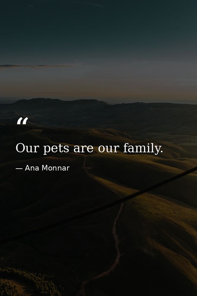 Our pets are our family. — Ana Monnar