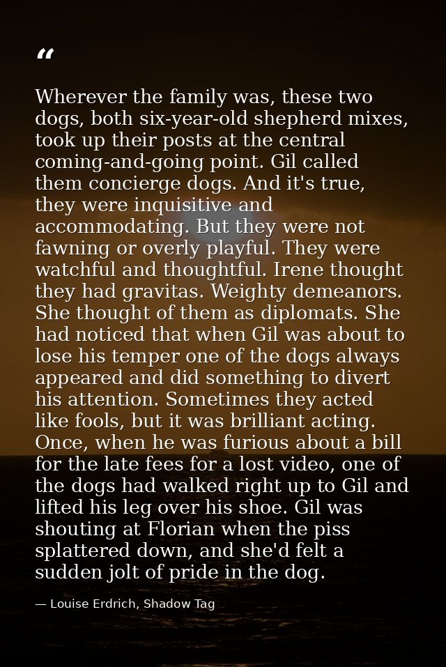 Wherever the family was, these two dogs, both six-year-old shepherd mixes, took up their posts at the central coming-and — Louise Erdrich, Shadow Tag