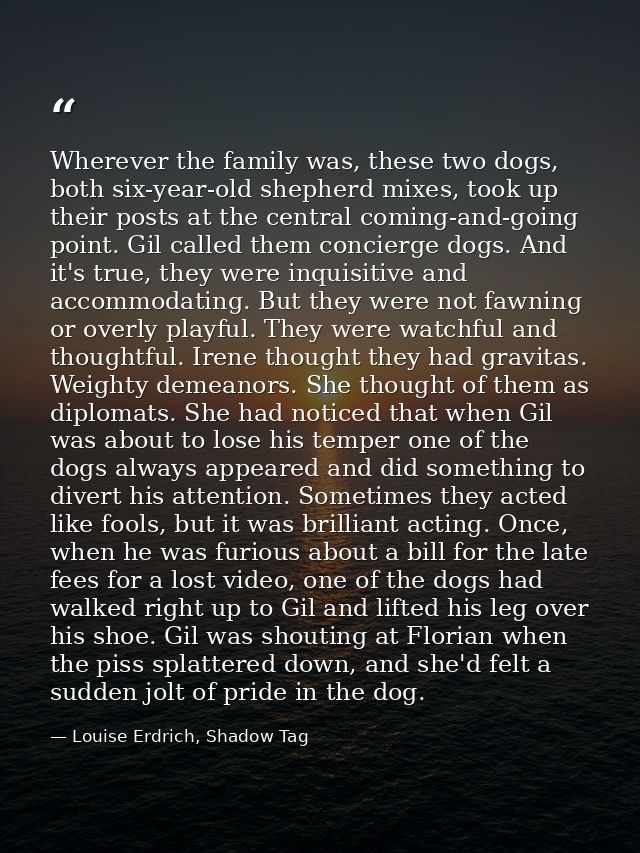 Wherever the family was, these two dogs, both six-year-old shepherd mixes, took up their posts at the central coming-and — Louise Erdrich, Shadow Tag