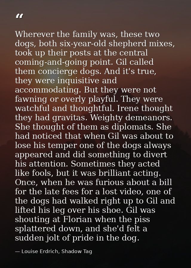 Wherever the family was, these two dogs, both six-year-old shepherd mixes, took up their posts at the central coming-and — Louise Erdrich, Shadow Tag