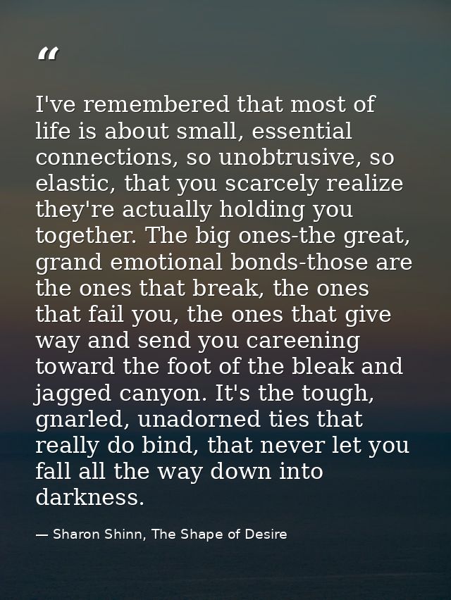 I've remembered that most of life is about small, essential connections, so unobtrusive, so elastic, that you scarcely r — Sharon Shinn, The Shape of Desire