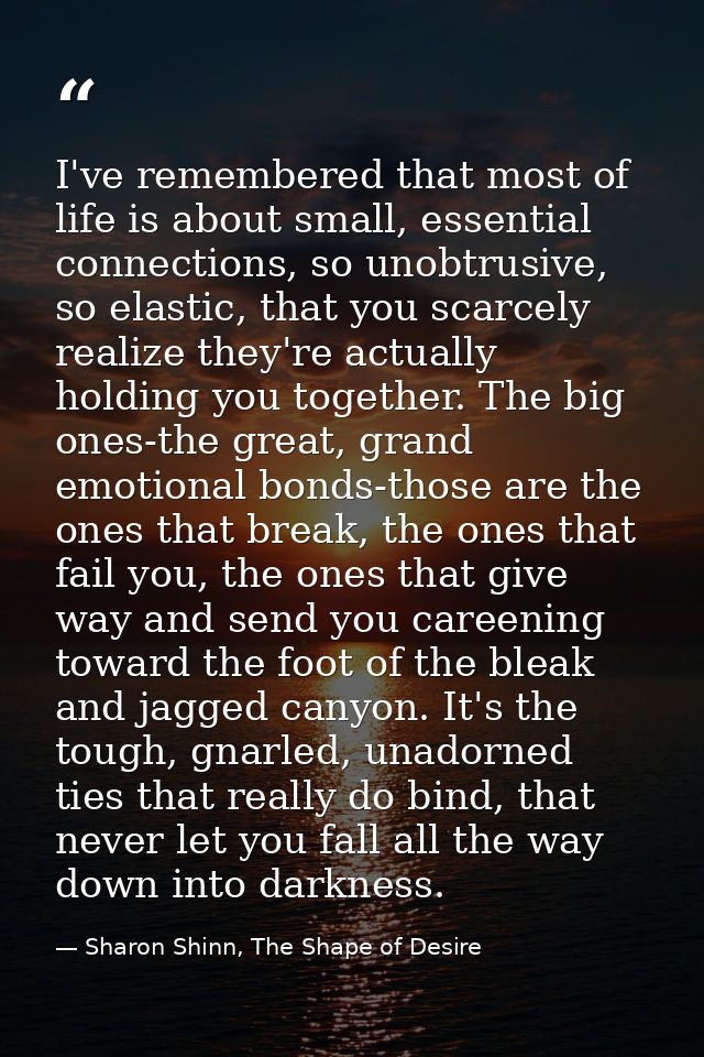 I've remembered that most of life is about small, essential connections, so unobtrusive, so elastic, that you scarcely r — Sharon Shinn, The Shape of Desire