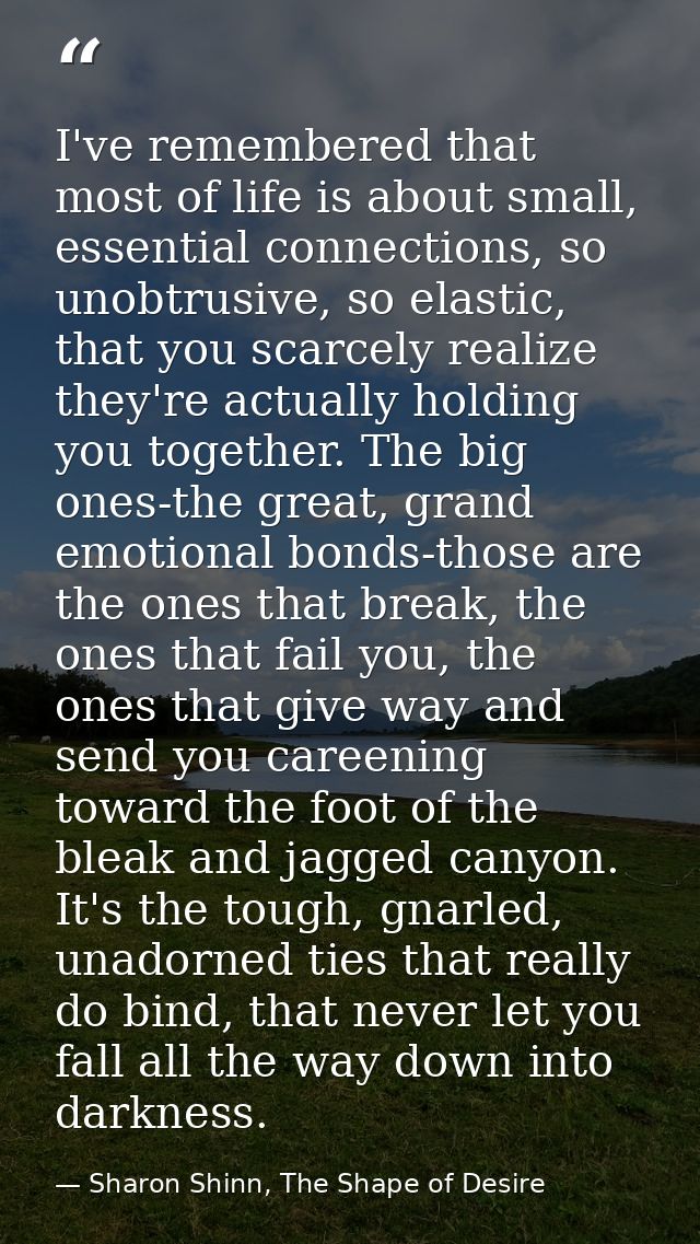 I've remembered that most of life is about small, essential connections, so unobtrusive, so elastic, that you scarcely r — Sharon Shinn, The Shape of Desire