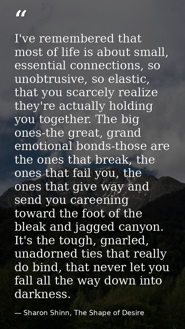 I've remembered that most of life is about small, essential connections, so unobtrusive, so elastic, that you scarcely r — Sharon Shinn, The Shape of Desire