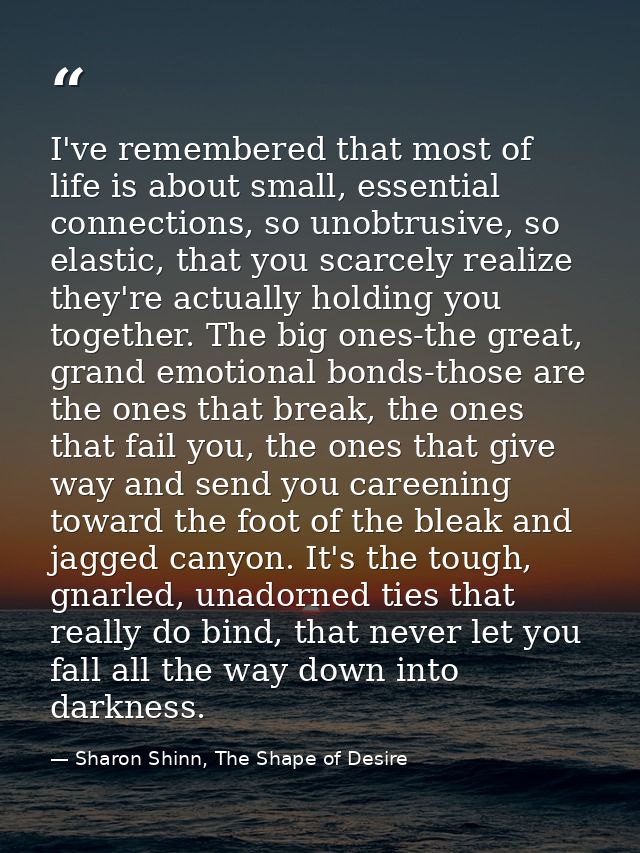 I've remembered that most of life is about small, essential connections, so unobtrusive, so elastic, that you scarcely r — Sharon Shinn, The Shape of Desire