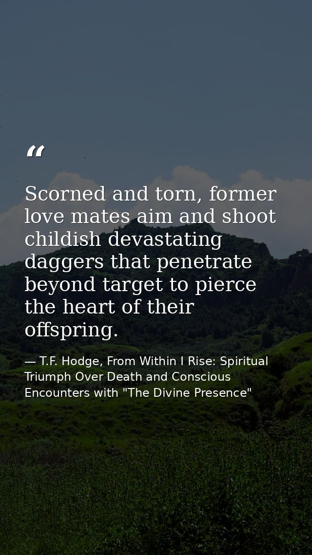 Scorned and torn, former love mates aim and shoot childish devastating daggers that penetrate beyond target to pierce th — T.F. Hodge, From Within I Rise: Spiritual Triumph Over Death and Conscious Encounters with "The Divine Presence"