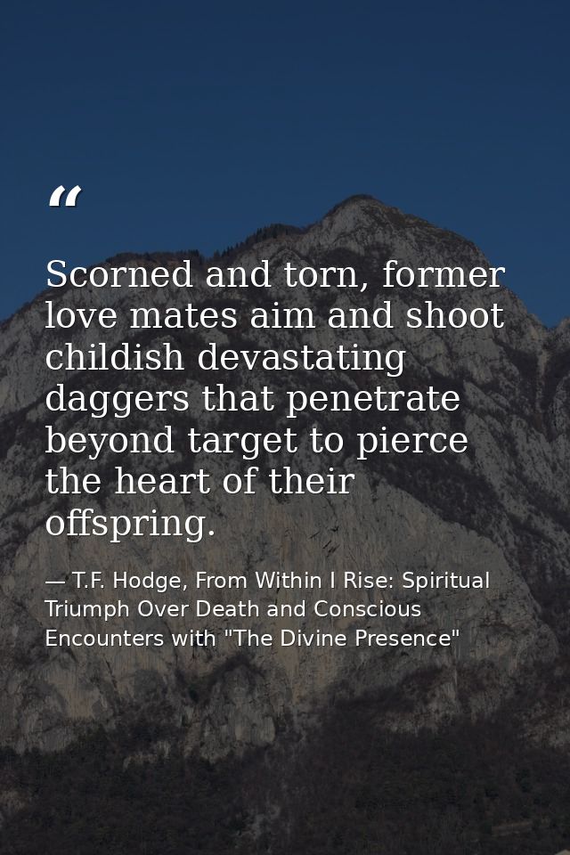 Scorned and torn, former love mates aim and shoot childish devastating daggers that penetrate beyond target to pierce th — T.F. Hodge, From Within I Rise: Spiritual Triumph Over Death and Conscious Encounters with "The Divine Presence"