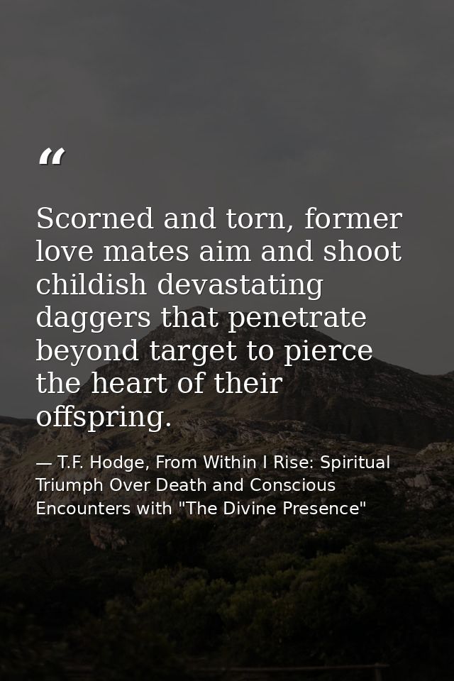 Scorned and torn, former love mates aim and shoot childish devastating daggers that penetrate beyond target to pierce th — T.F. Hodge, From Within I Rise: Spiritual Triumph Over Death and Conscious Encounters with "The Divine Presence"