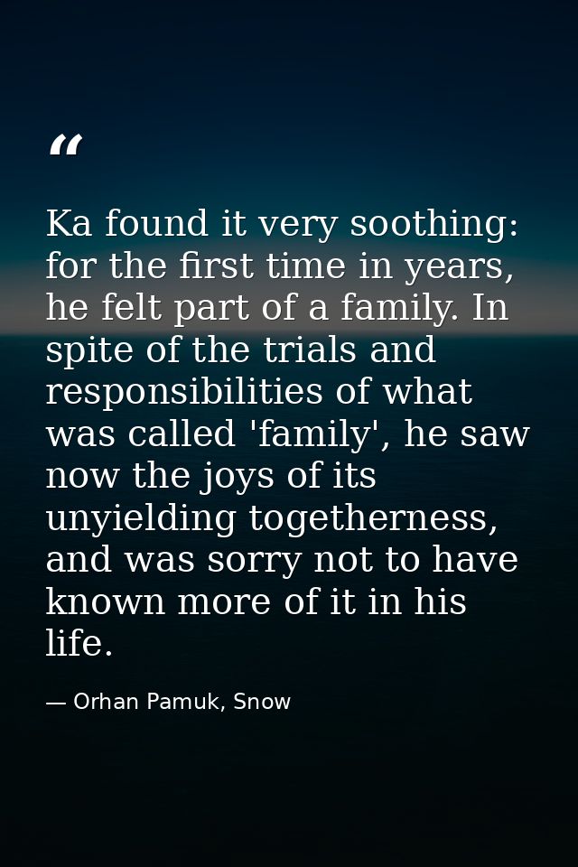 Ka found it very soothing: for the first time in years, he felt part of a family. In spite of the trials and responsibil — Orhan Pamuk, Snow