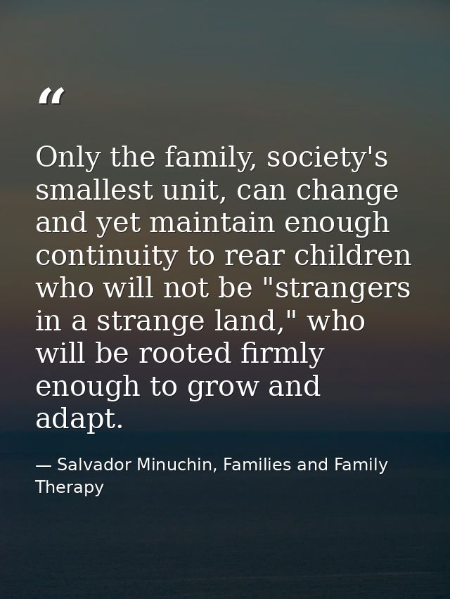 Only the family, society's smallest unit, can change and yet maintain enough continuity to rear children who will not be — Salvador Minuchin, Families and Family Therapy