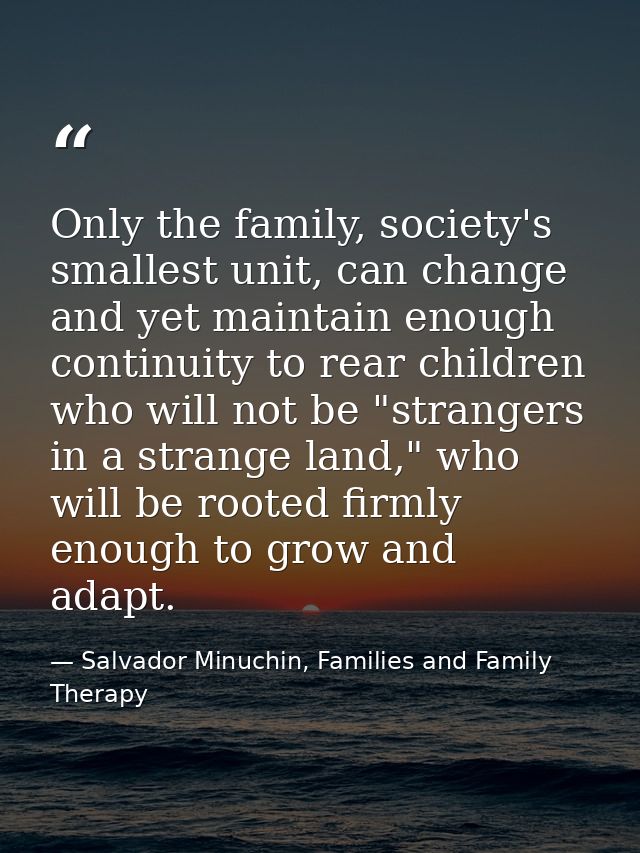 Only the family, society's smallest unit, can change and yet maintain enough continuity to rear children who will not be — Salvador Minuchin, Families and Family Therapy