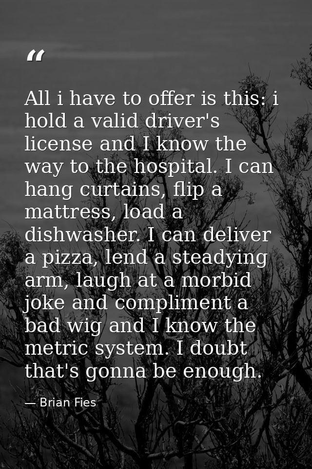 All i have to offer is this: i hold a valid driver's license and I know the way to the hospital. I can hang curtains, fl — Brian Fies